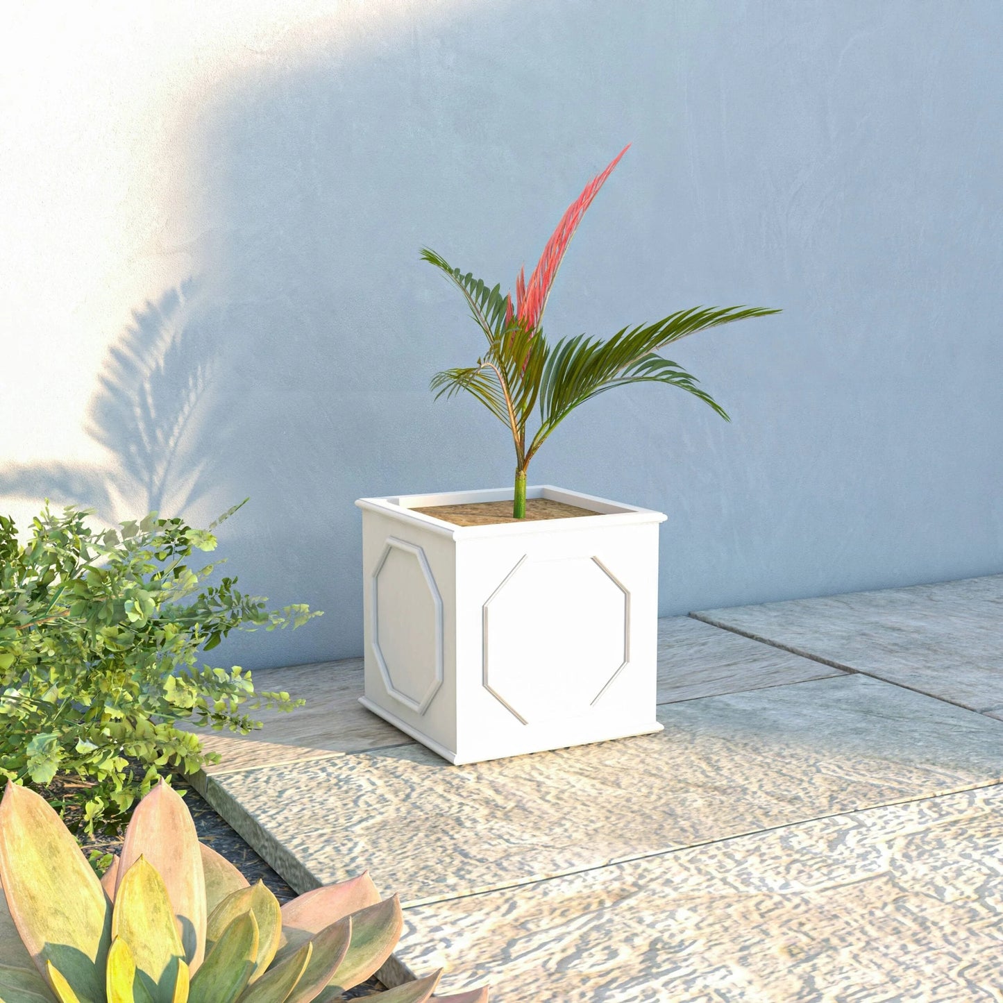 Sprout Modern Fiberstone and MgO Clay Square Planter Pot with Drainage for Home Garden Yard Patio Porch Office Decor