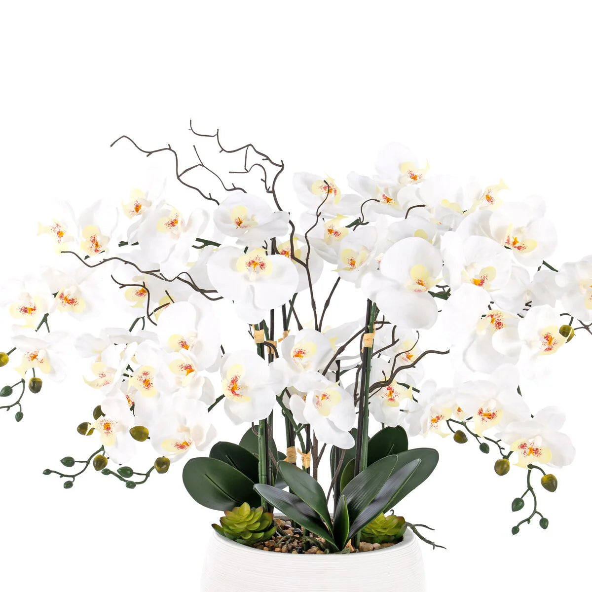 9 Stems Nearly Natural White Phalaenopsis Orchids with Succulents in White Magnesium Oxide Pot - 36.22" H x 35.43" W x 35.43" D