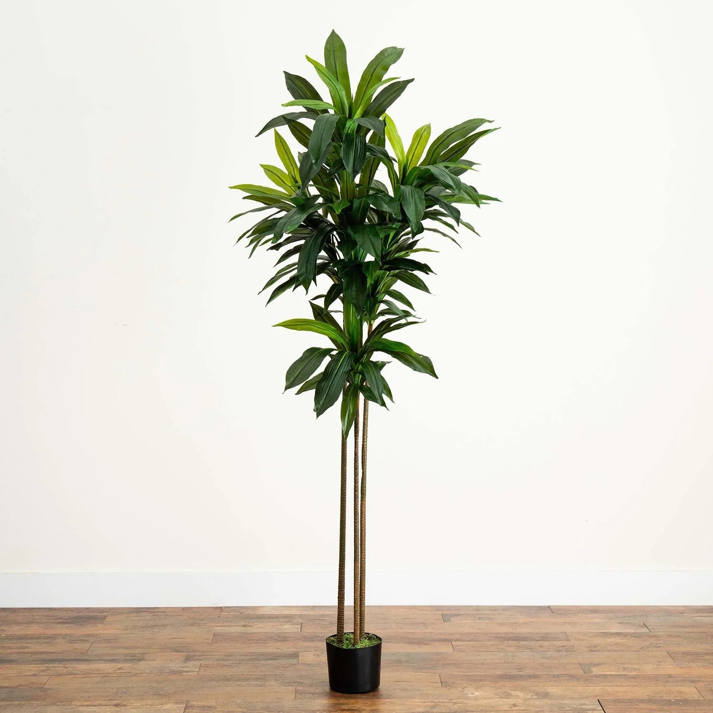 Potted Artificial Dracaena Tree - 7' - Green
