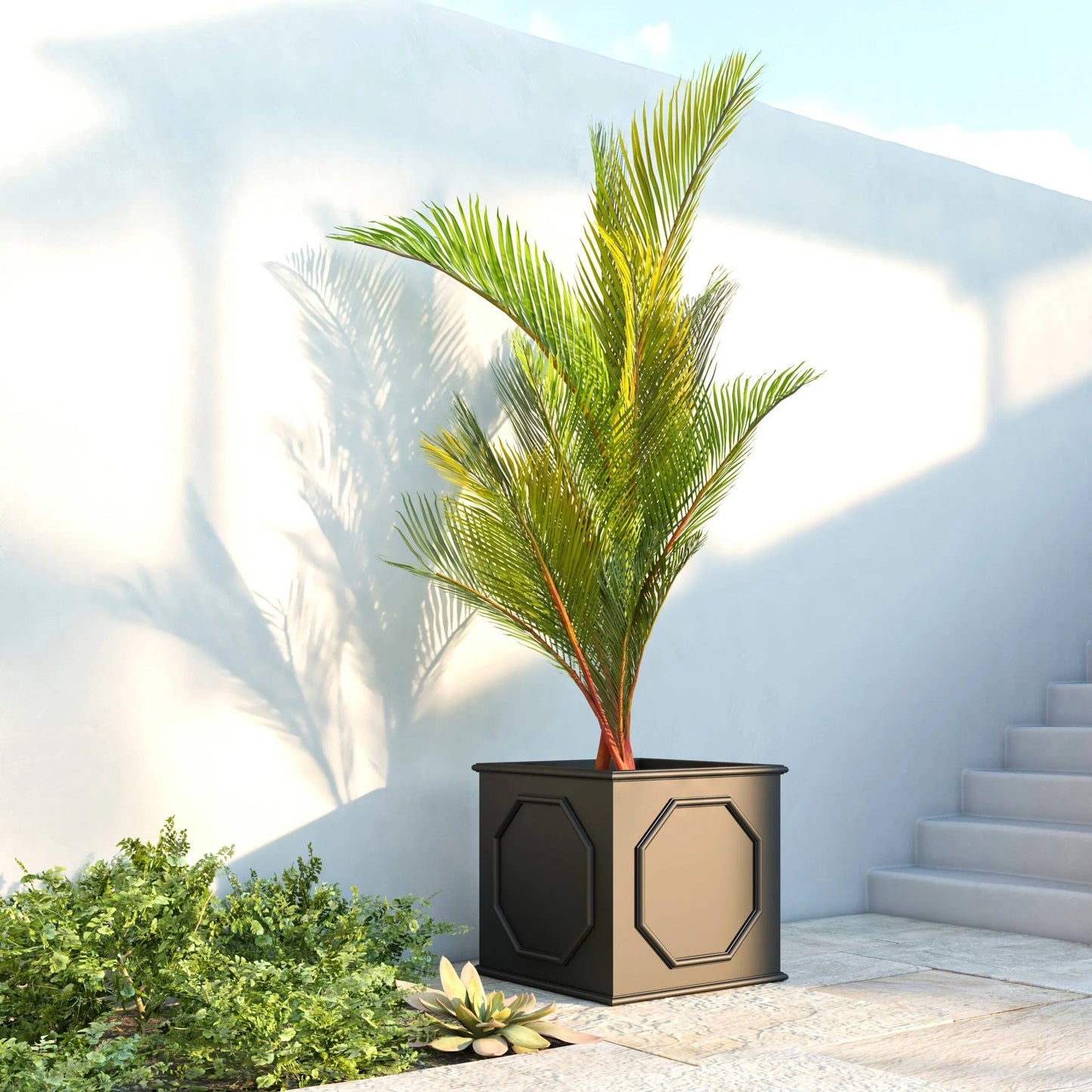 Sprout Modern Fiberstone and MgO Clay Square Planter Pot with Drainage for Home Garden Yard Patio Porch Office Decor