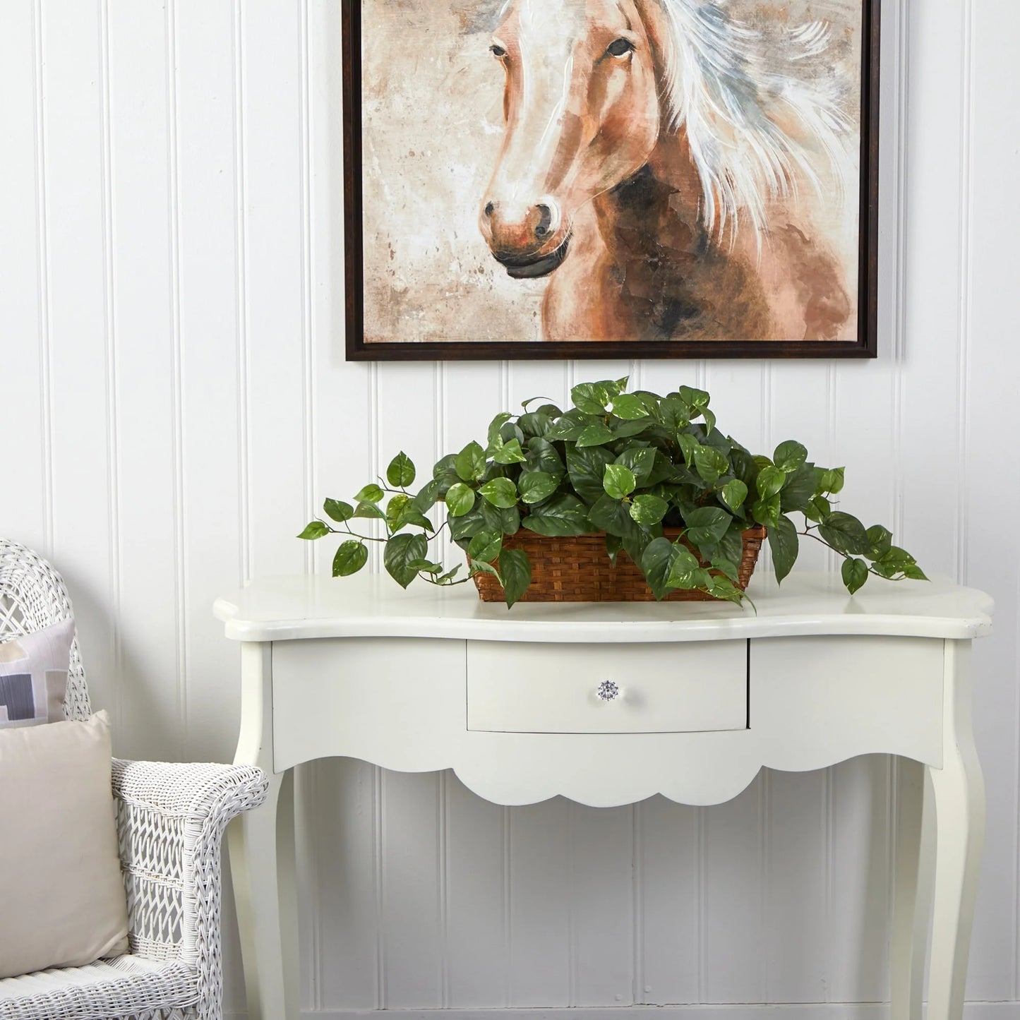 Pothos w/Ledge Basket - Green