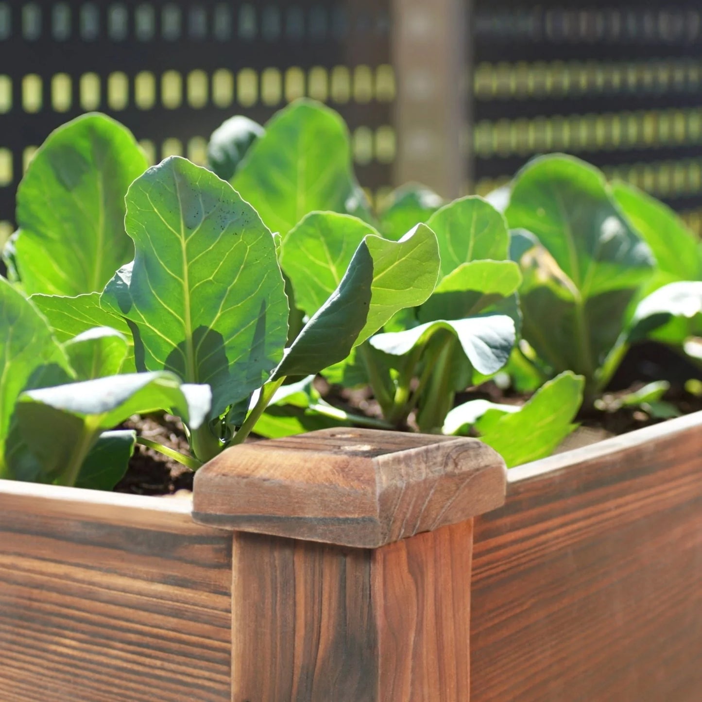 VEIKOUS Wood Raised Garden Bed Elevated Planter Box with Drainage Holes - 46.8''W x 22.4''D x 30.3''H