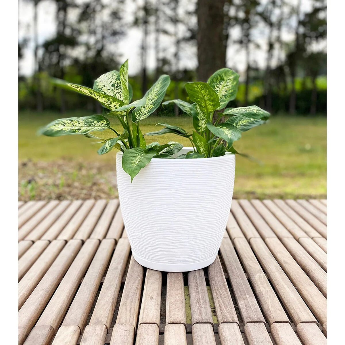 Floridis Amsterdan Extra Small Planter Bowl - 11.02 inches high x 12.6 inch diameter