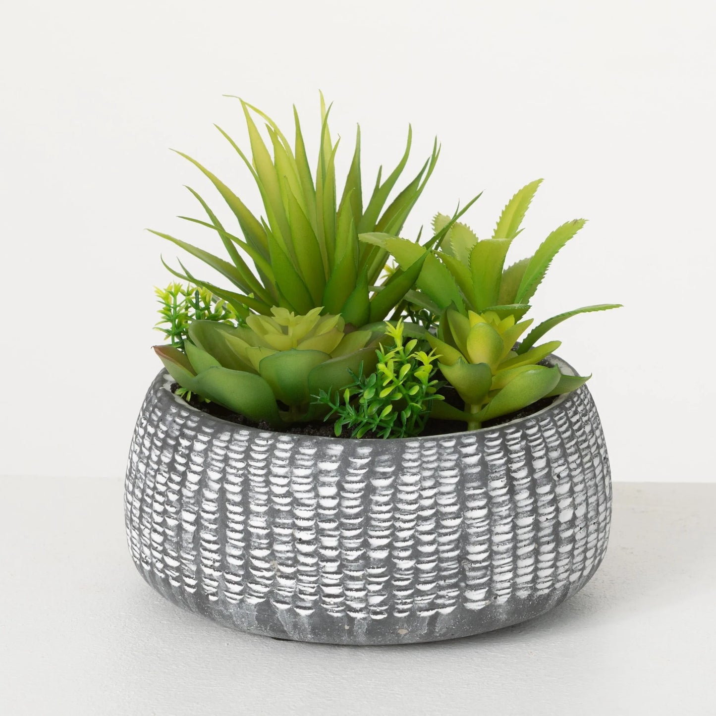 Sullivans Artificial Succulent In Cement Planter 6"H Green - 6"H x 6"L x 6"W