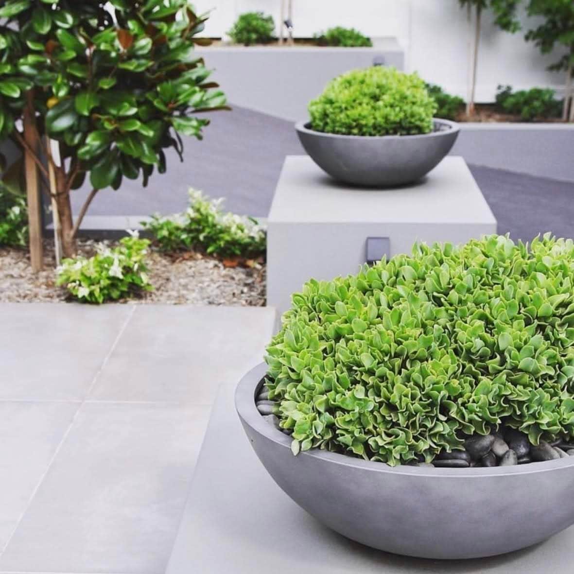 DreamPatio Los Angeles 1-piece Fiberstone Succulent Bowl Planter