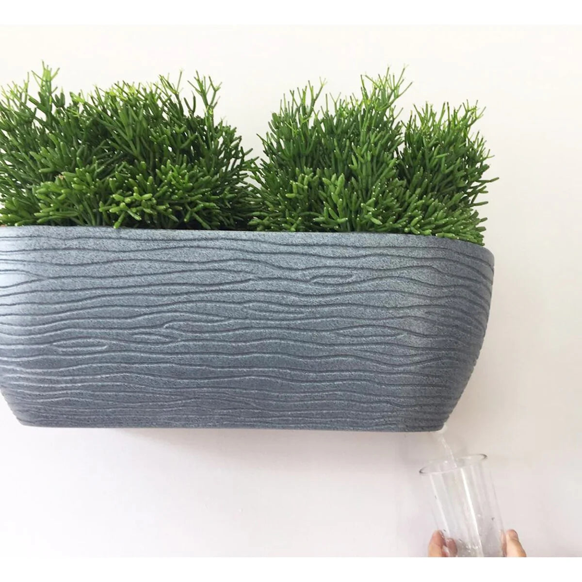 Floridis Wall Planter
