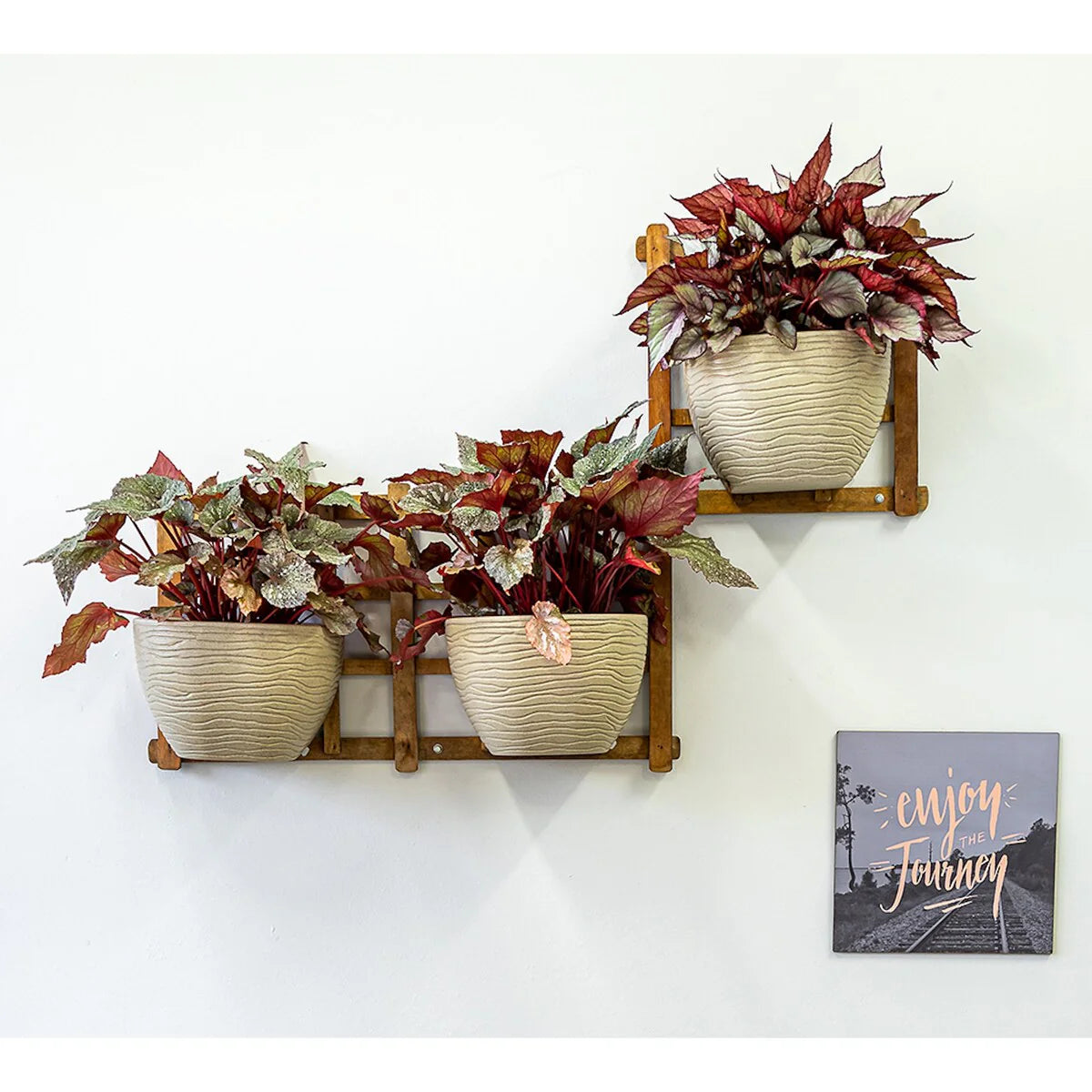 Floridis Wall Planter