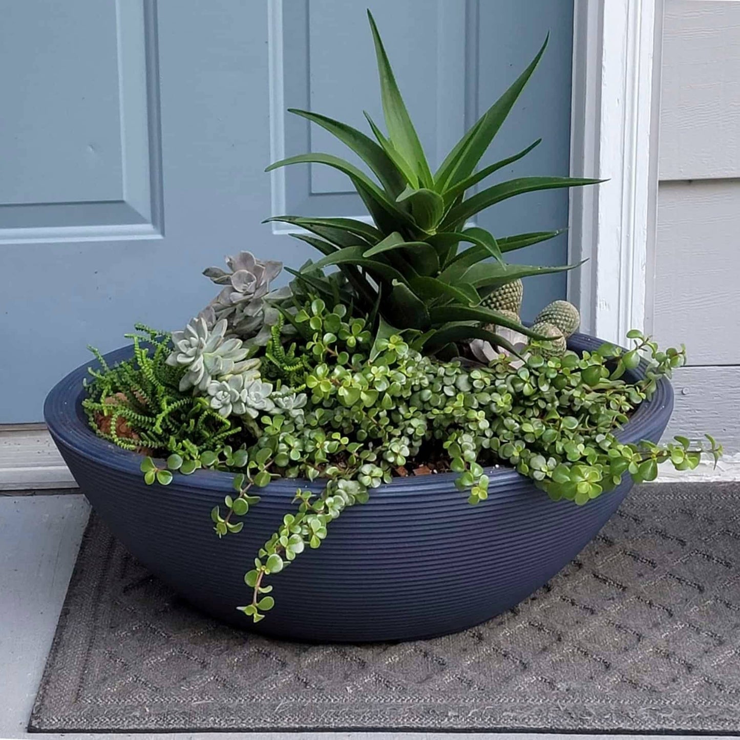 Delano Indoor Outdoor Oval-shaped Planter Bowl
