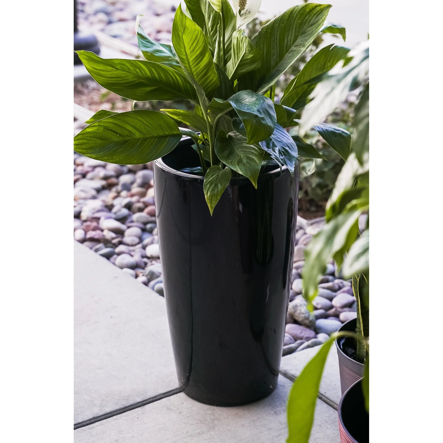 XBrand 21" H Plastic Self Watering Indoor Outdoor Tall Round Planter Pot w/Glossy Finish, Decorative Gardening Pot