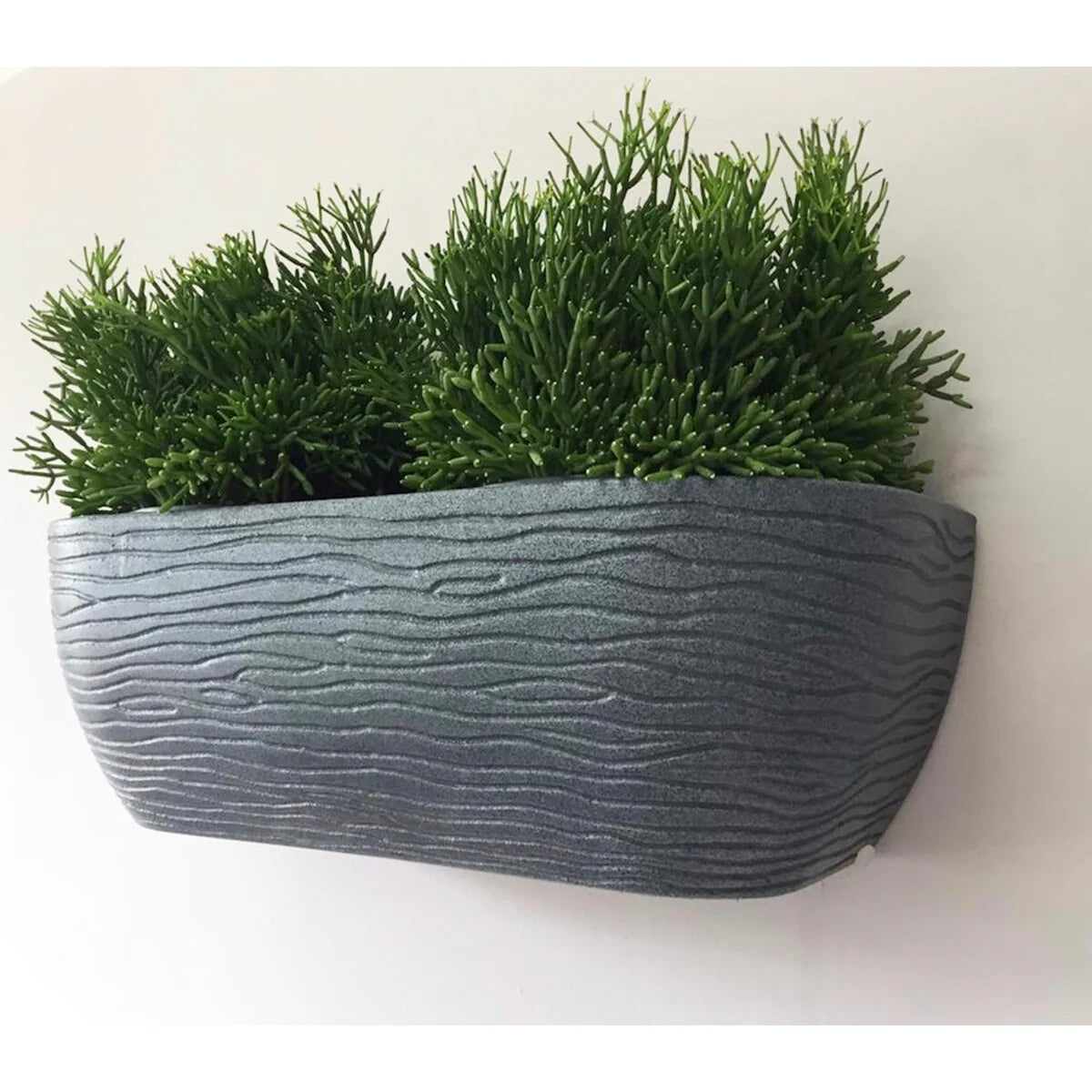 Floridis Wall Planter
