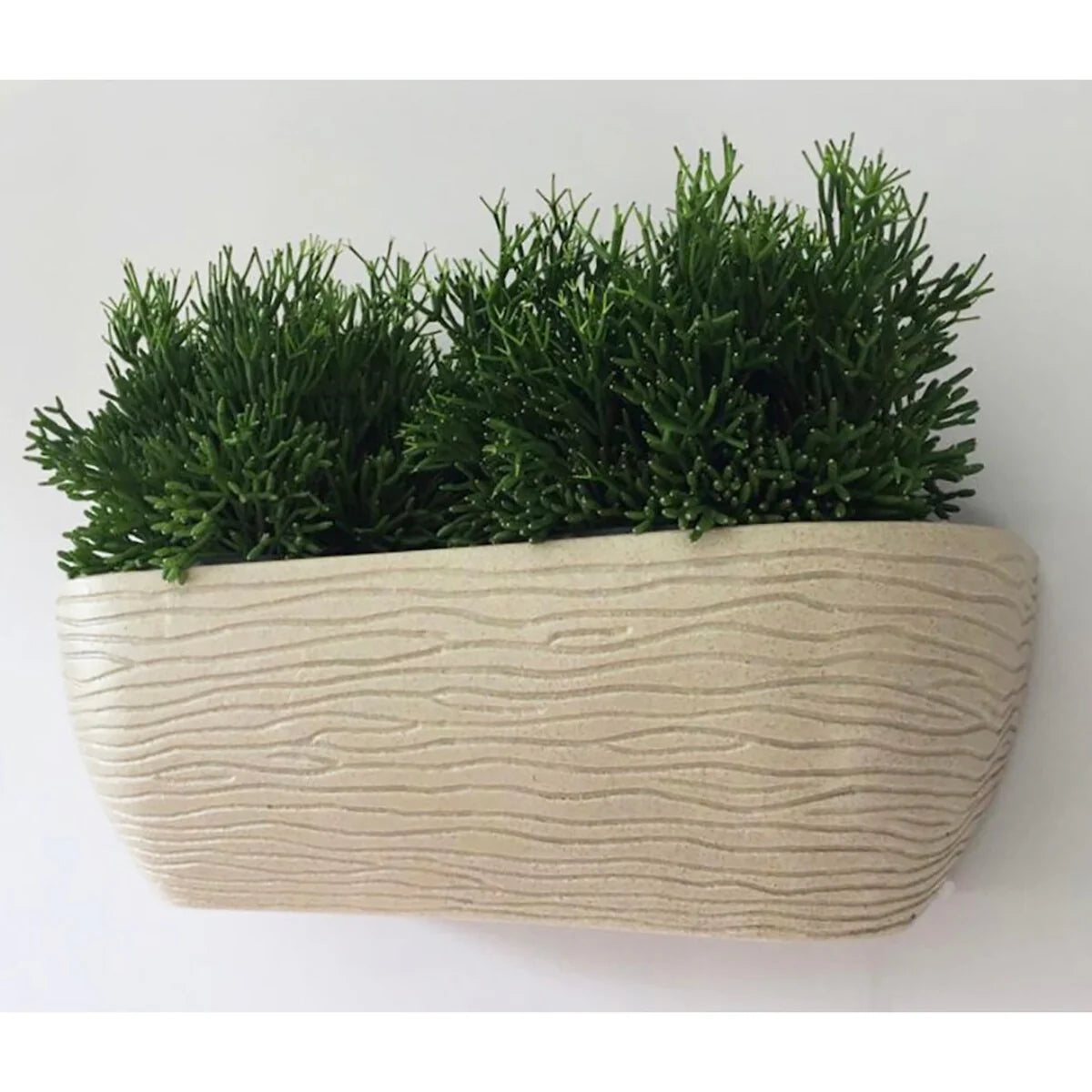 Floridis Wall Planter