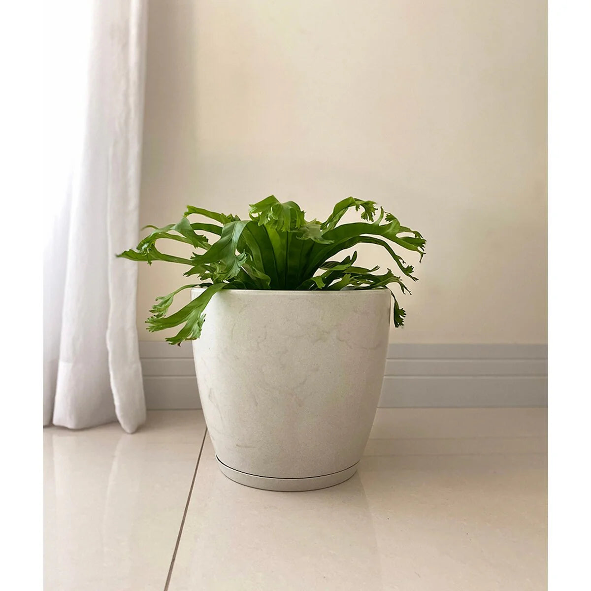 Floridis Amsterdan Extra Small Planter Bowl - 11.02 inches high x 12.6 inch diameter