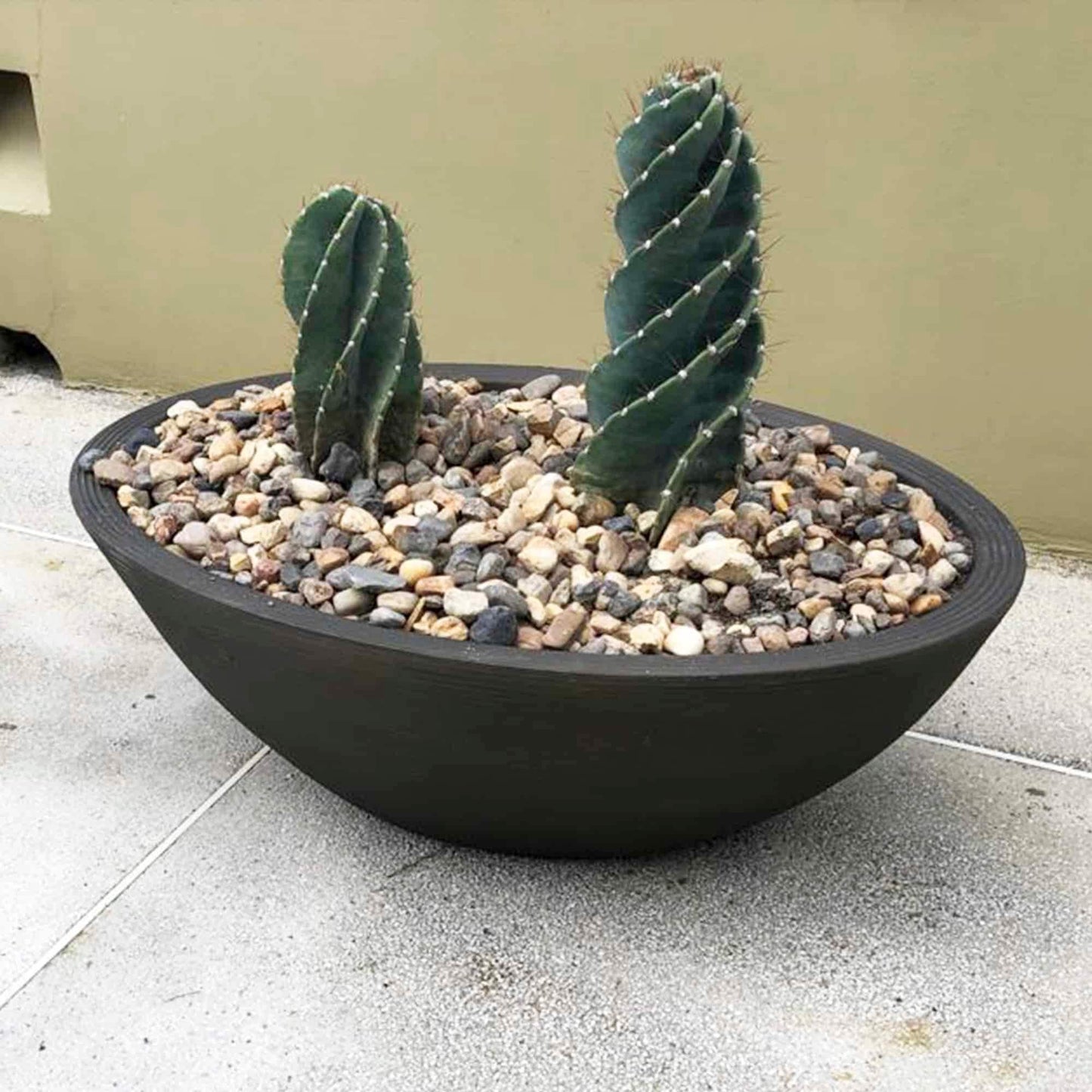Delano Indoor Outdoor Oval-shaped Planter Bowl