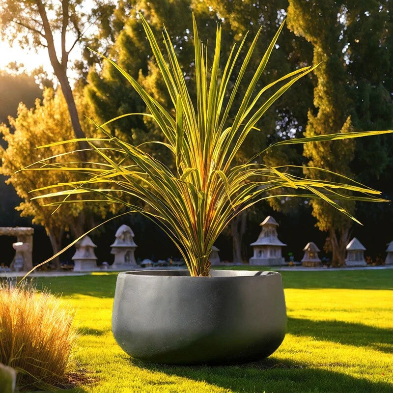 Kante 19.6"W Weathered Concrete Round Planter, Outdoor/Indoor Modern Planter, Seamless with Drainage Hole, Black