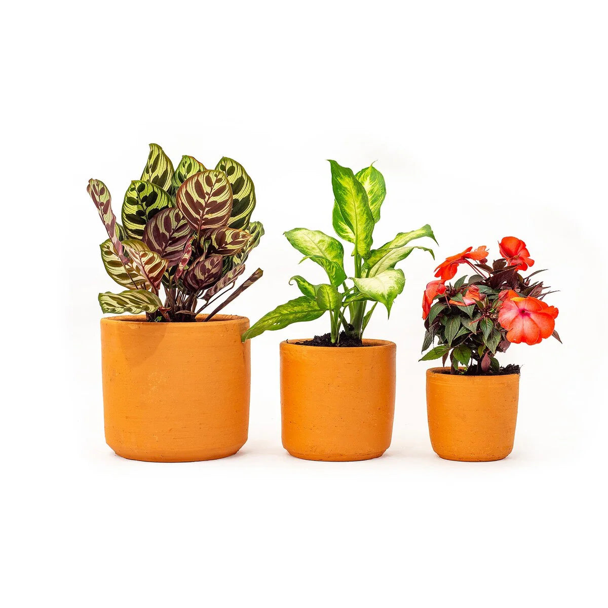 Hand Made Set of 3 Terracota Plant Pot