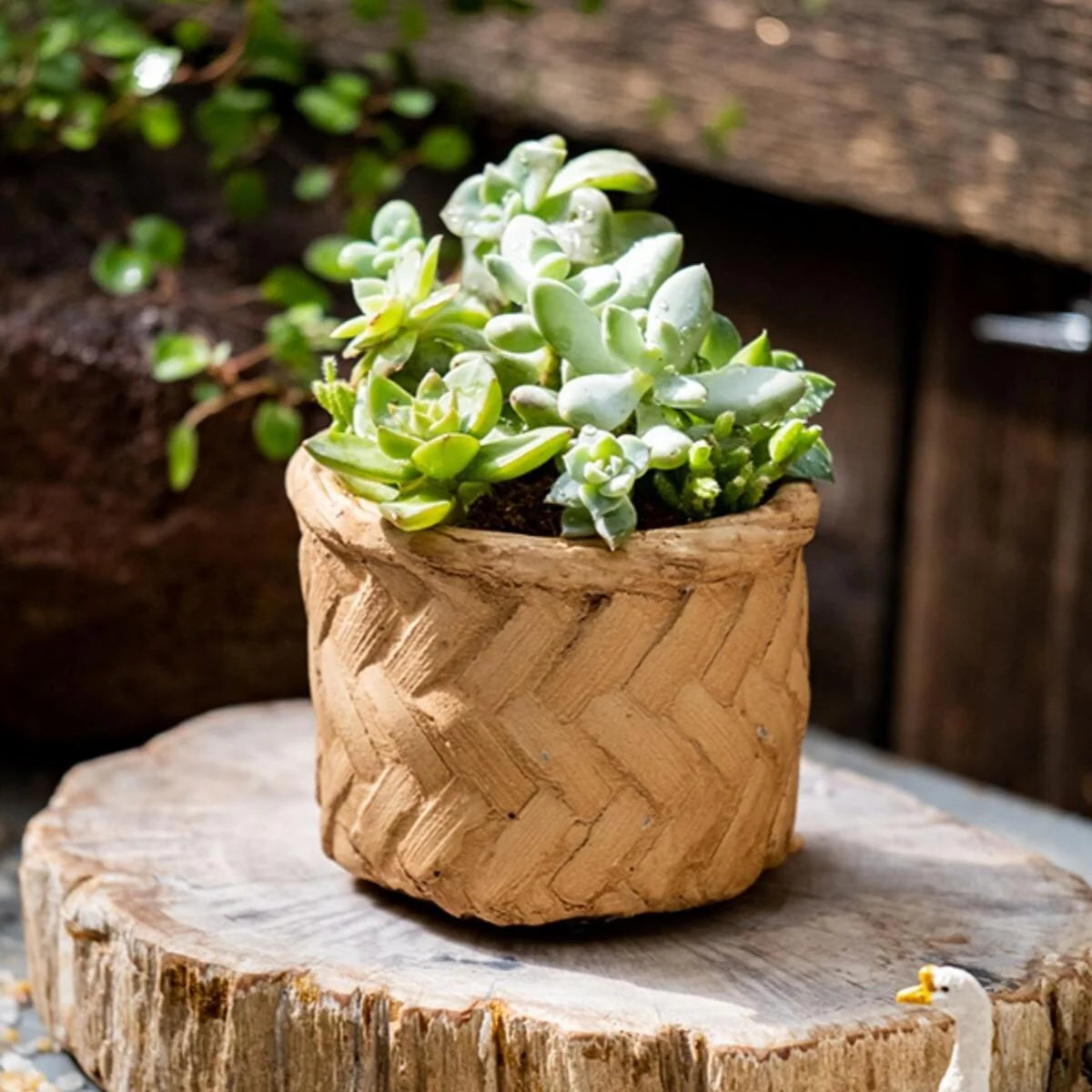 RusticReach Bamboo Looking Cement Planter