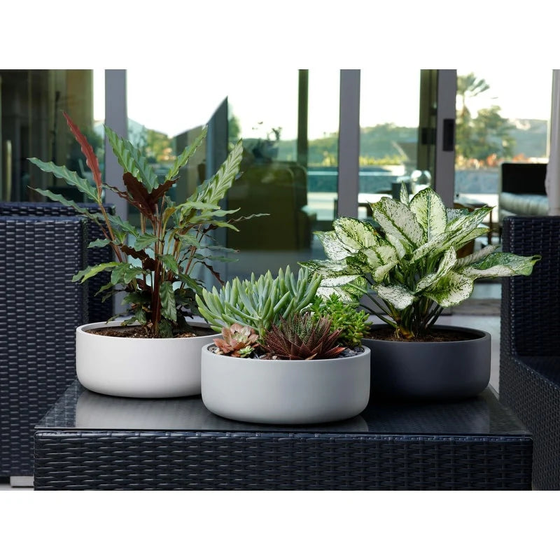 Indoor/Outdoor Large Nordic Minimalist Fiberstone Lightweight Round Bowl Planter Pot - 16, 12 inch Matte Finish