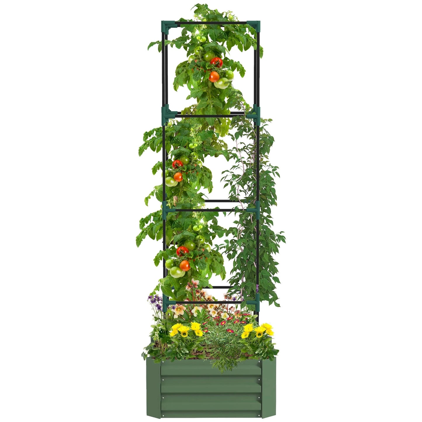 Outsunny Galvanized Raised Garden Bed, 24" x 24" x 11.75" Outdoor Planter Box with Trellis Tomato Cage and Open Bottom