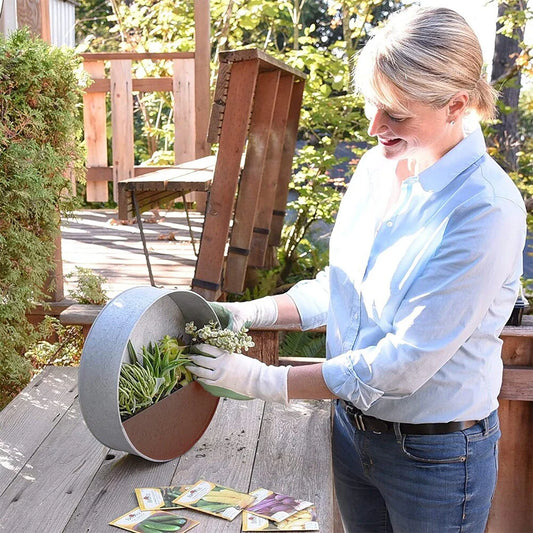 Modern Home Round Living Wall Mounted Galvanized Steel/Zinc Succulent/Herb Planter - Indoor/Outdoor Living Art Potting Vessel