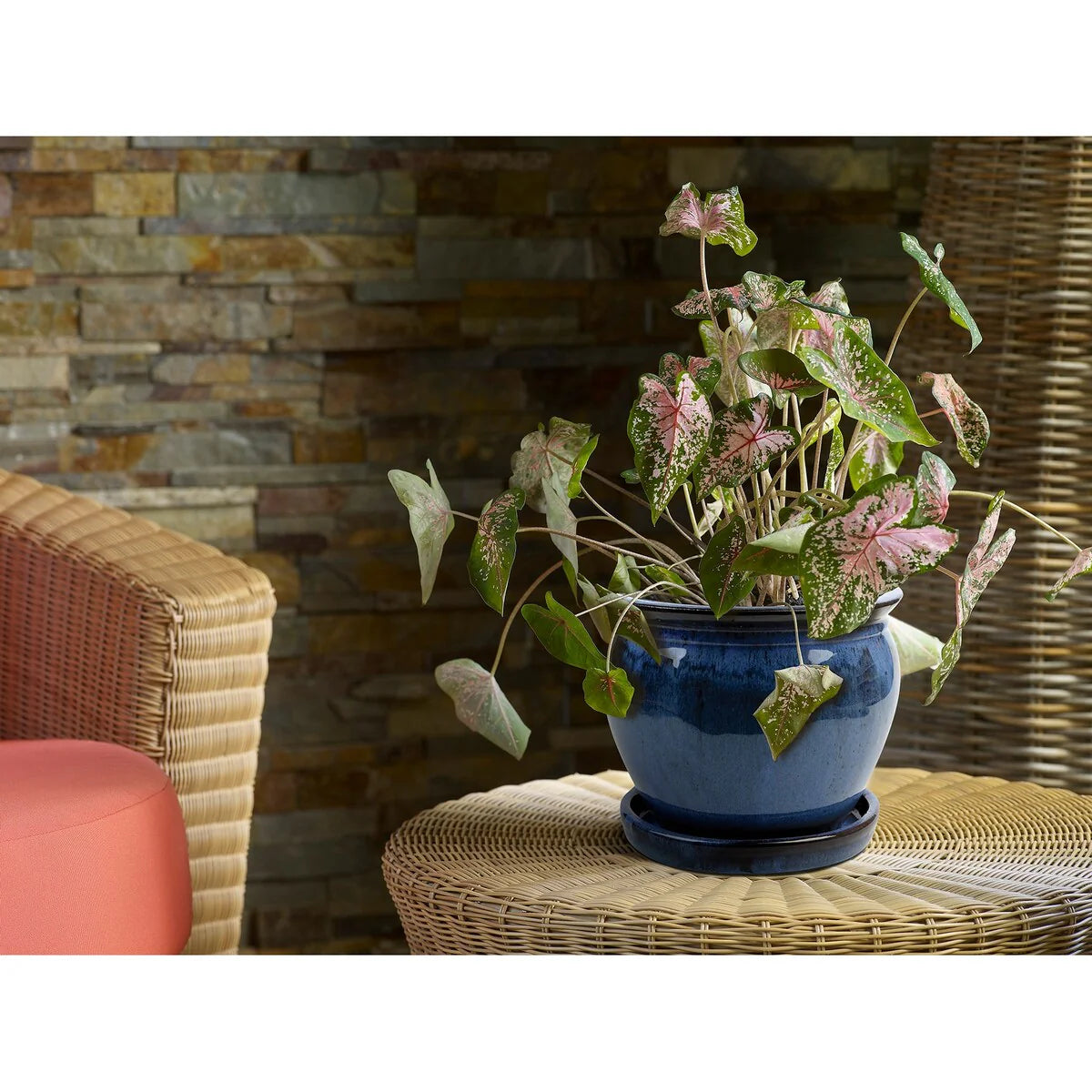 Southern Patio Ceramic Wisteria Planter (Single or Set of 2)