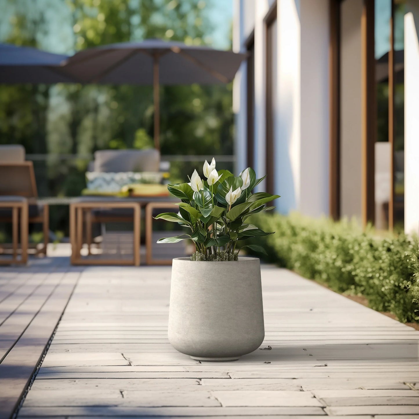Tall Concrete Round Plant Pots / Large Indoor and Outdoor flower Planters