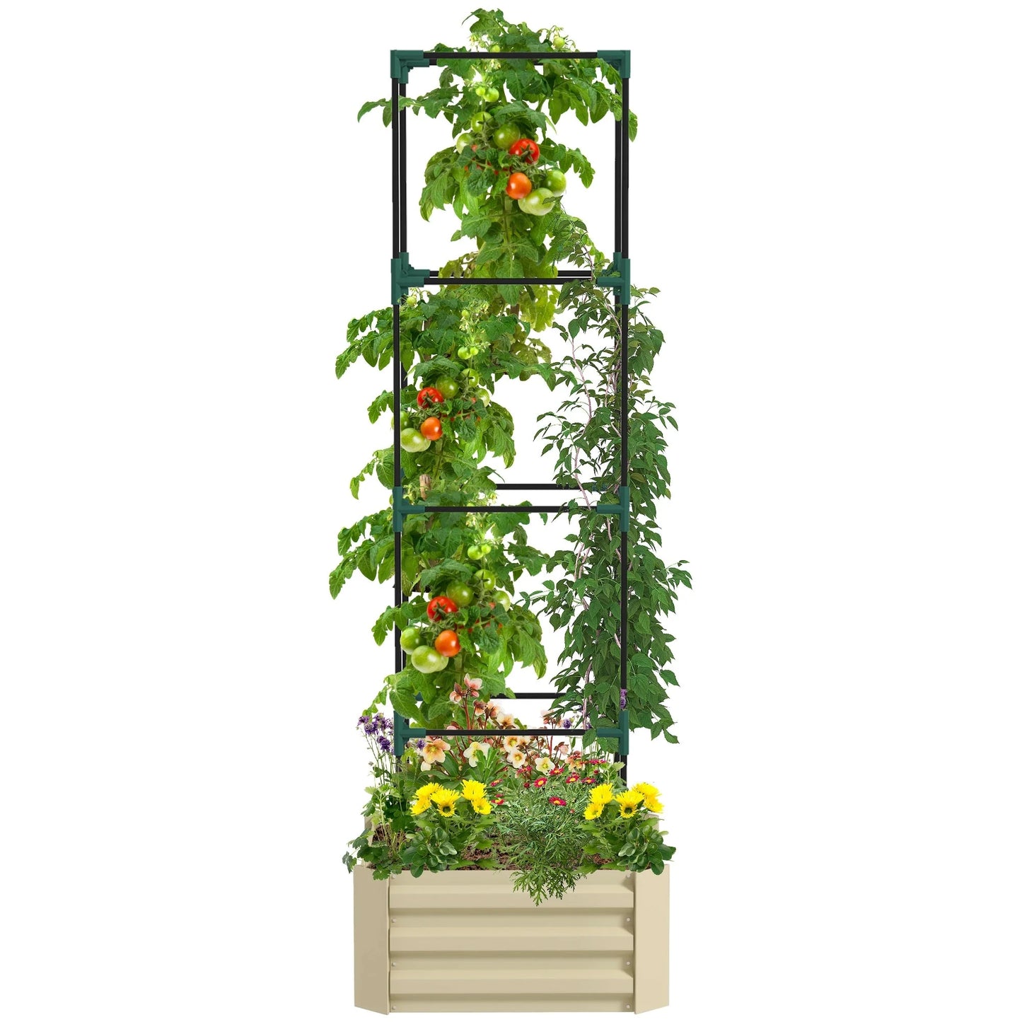 Outsunny Galvanized Raised Garden Bed, 24" x 24" x 11.75" Outdoor Planter Box with Trellis Tomato Cage and Open Bottom
