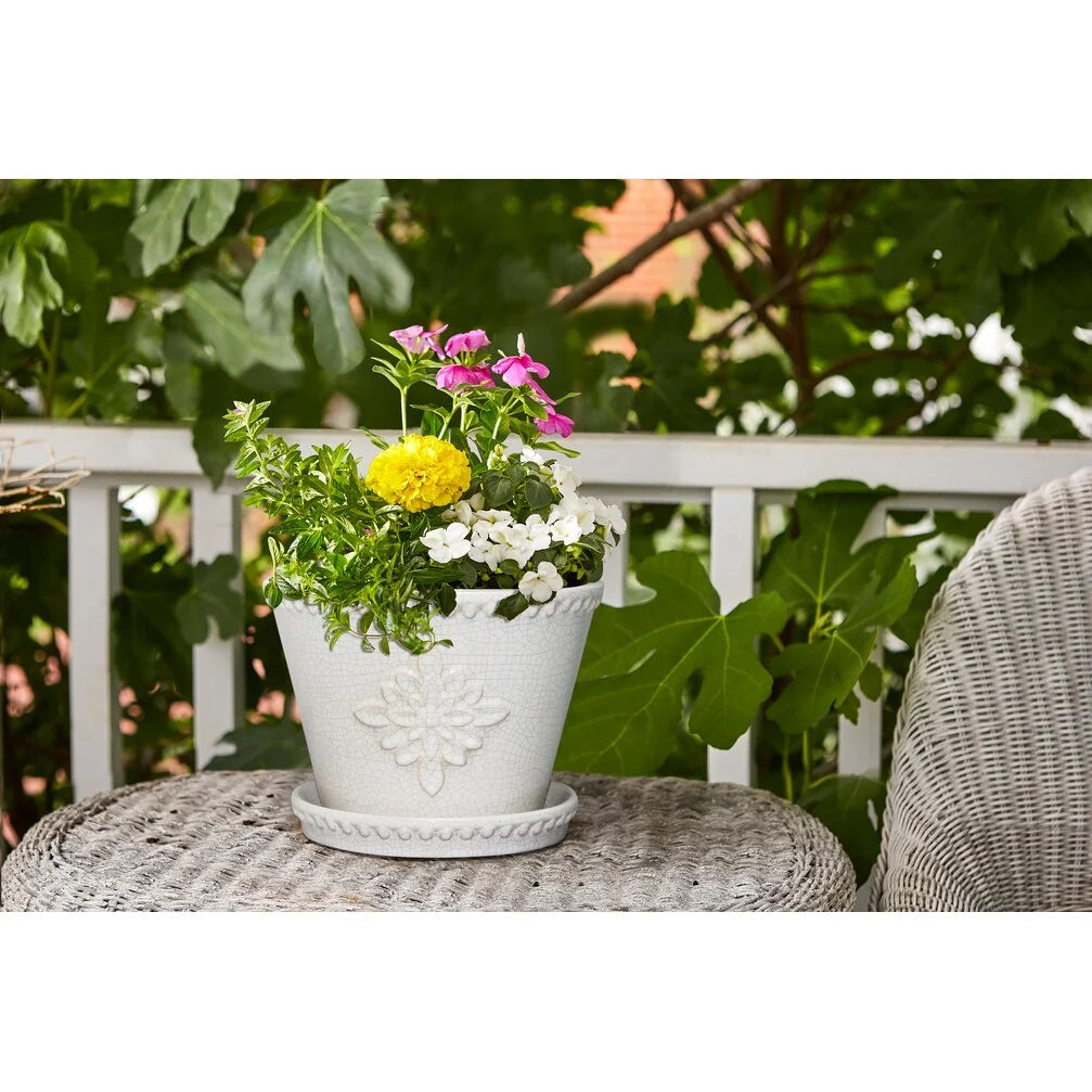 Southern Patio Lorna Planter