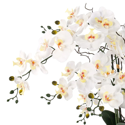 9 Stems Nearly Natural White Phalaenopsis Orchids with Succulents in White Magnesium Oxide Pot - 36.22" H x 35.43" W x 35.43" D