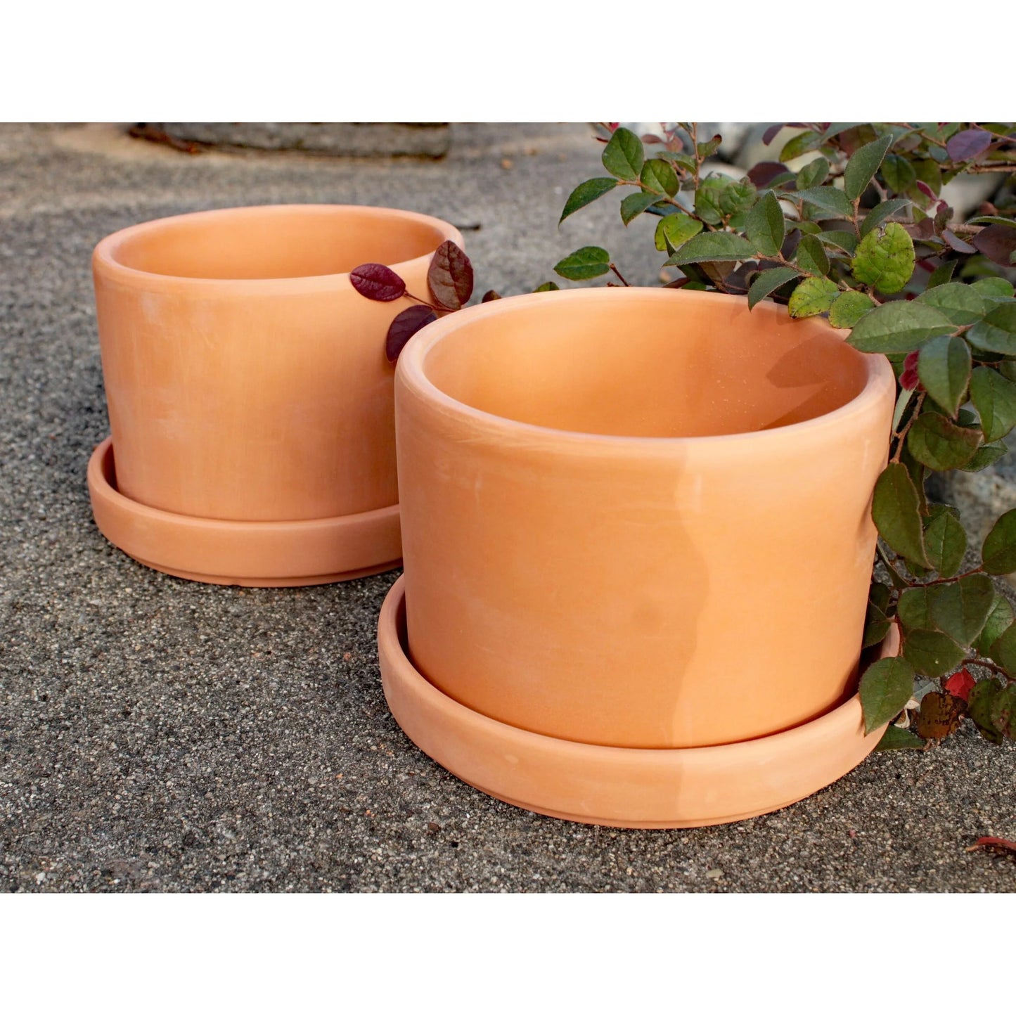 Set of 2 Terracotta Round Fat Walled Garden Planters with Individual Trays, 2 SIZES AVILABLE