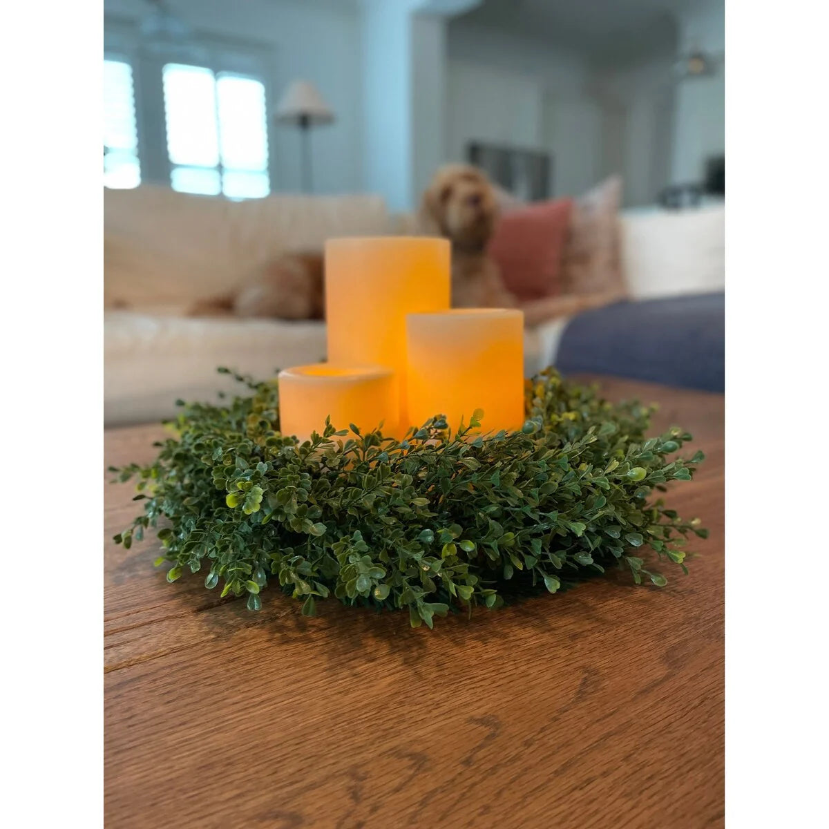 16", 18", 24" or 30" Decorative Boxwood Wreaths