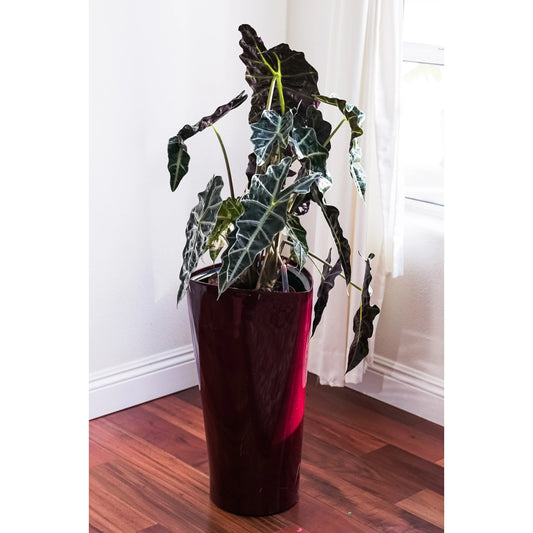 XBrand 22.4" H Plastic Self Watering Indoor Outdoor Triangle Planter Pot w/Glossy Finish, Tall Decorative Gardening Pot