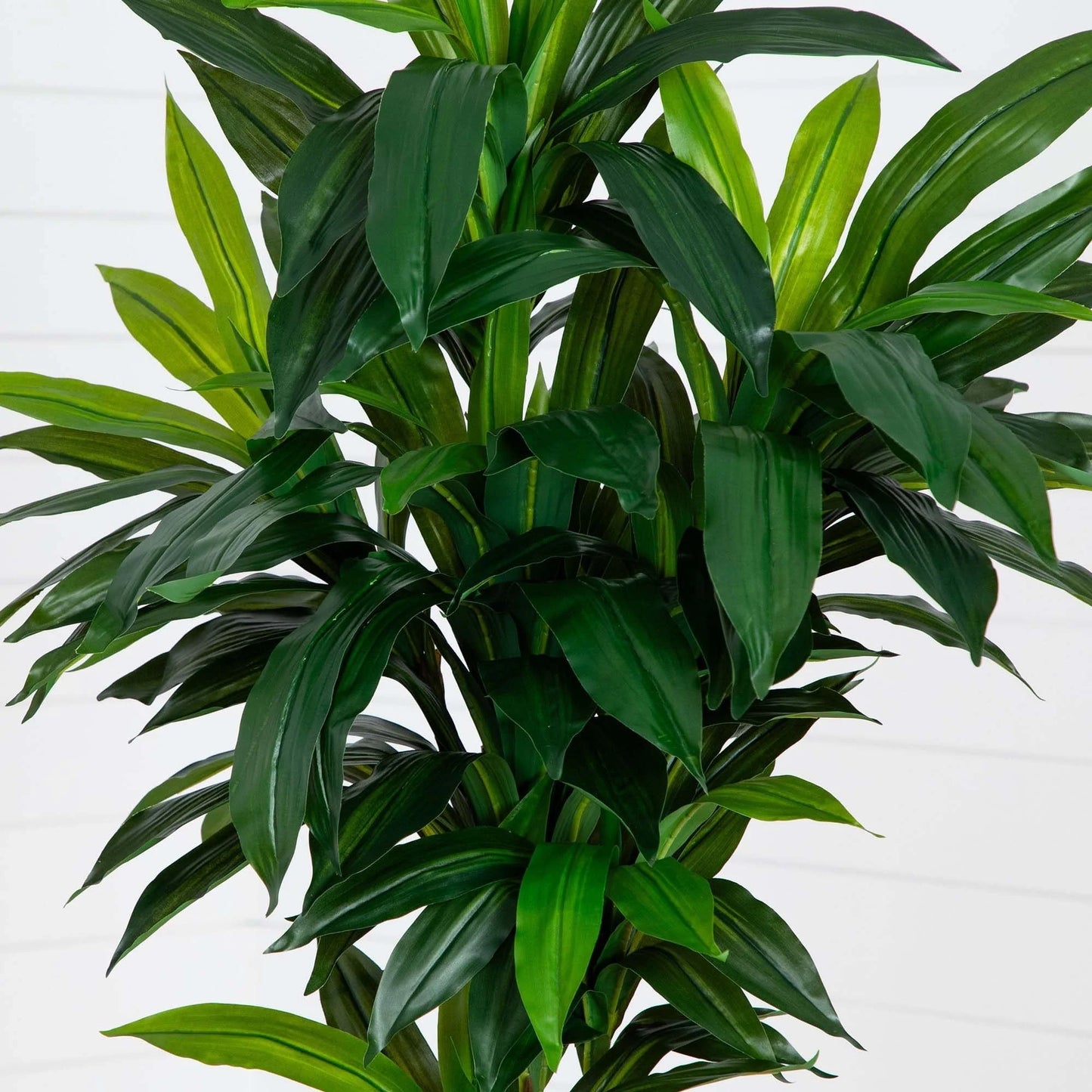 Potted Artificial Dracaena Tree - 7' - Green