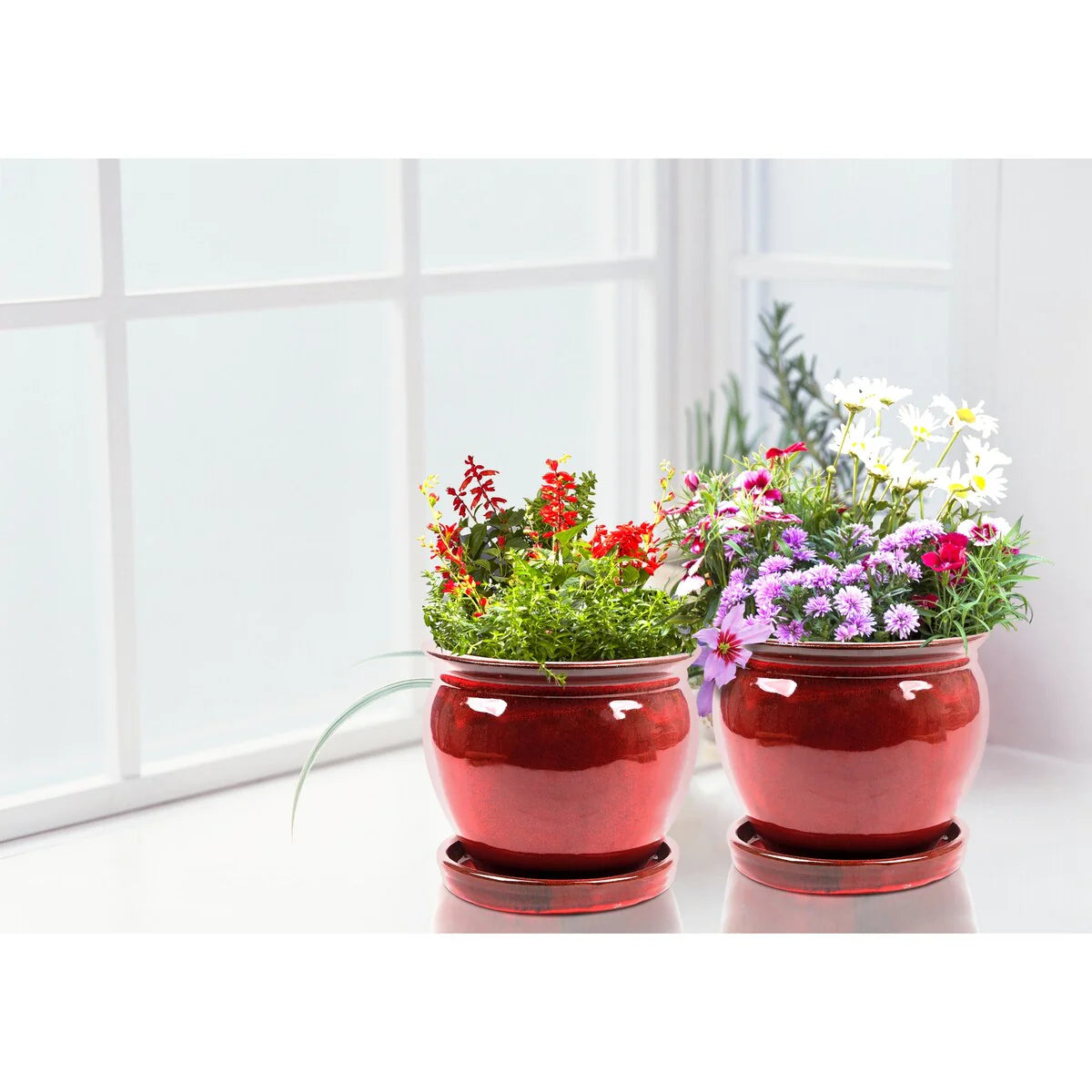 Southern Patio Ceramic Wisteria Planter (Single or Set of 2)