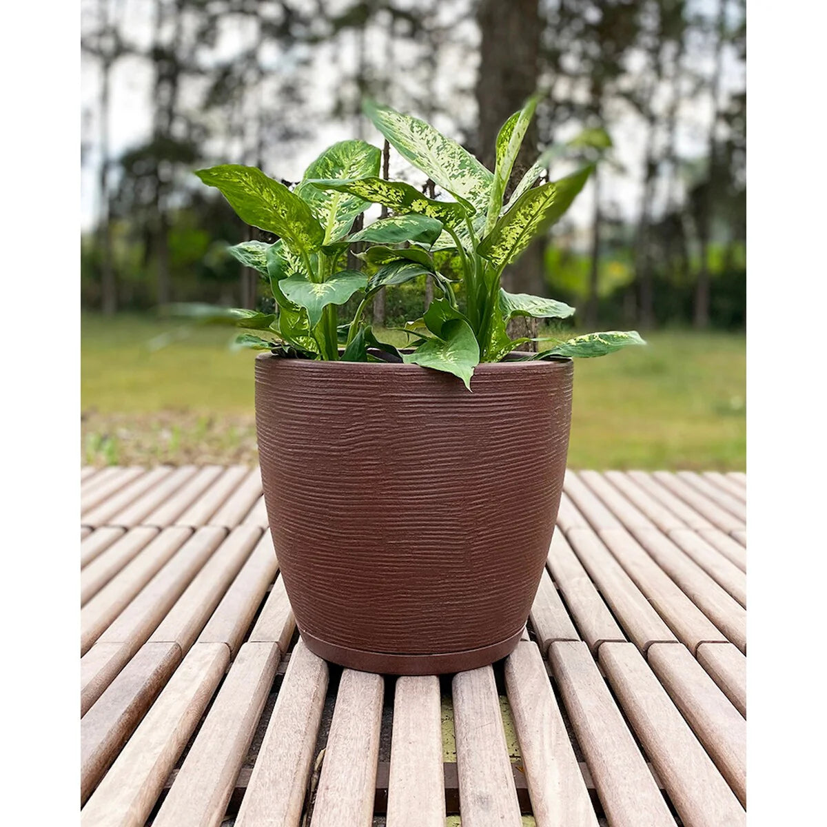 Floridis Amsterdan Extra Small Planter Bowl - 11.02 inches high x 12.6 inch diameter