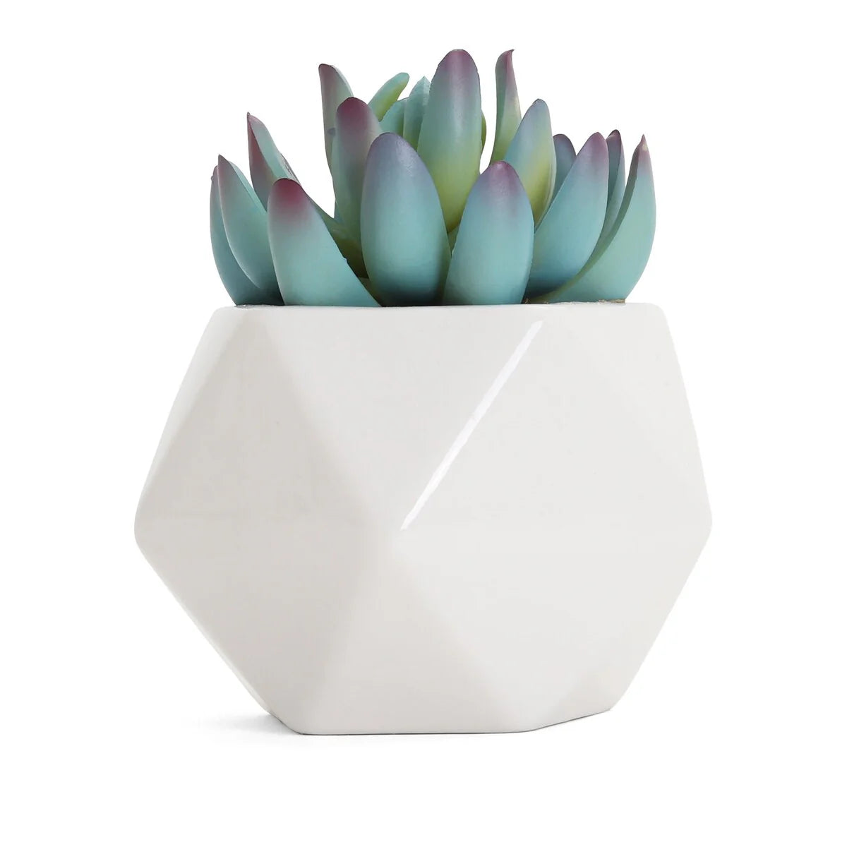 Artificial Succulent