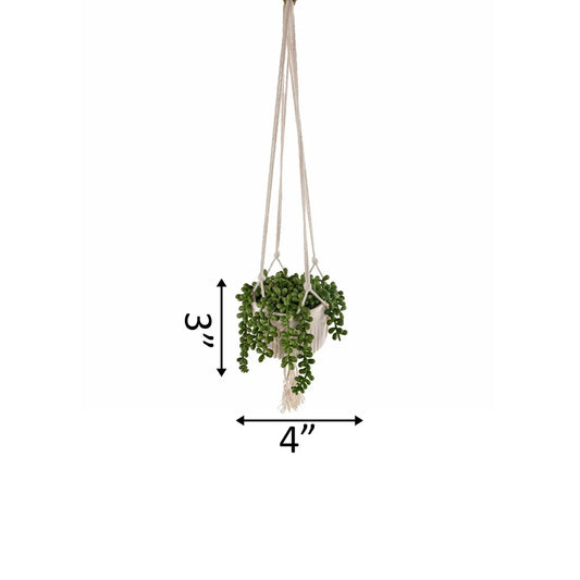 Artificial Plant STRING OF PEARLS MACRAME HANGING CERAMIC DONKEY TAILS - ONE-SIZE