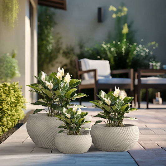 Textured Concrete Round Plant Pots / Large Indoor and Outdoor flower Planters