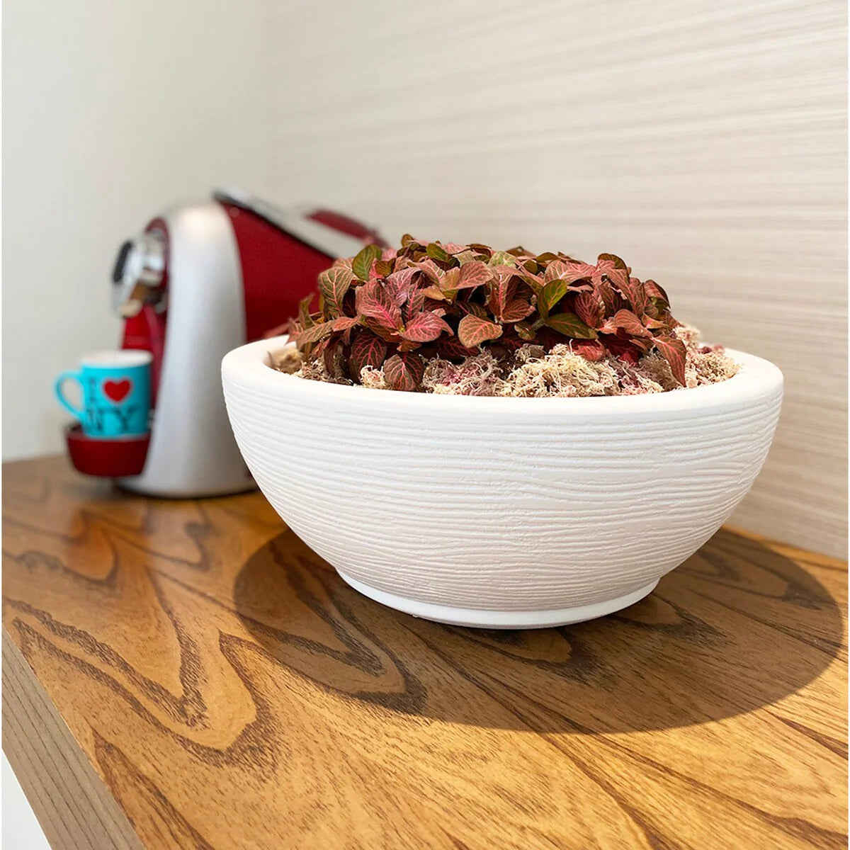 Floridis Amsterdan Small Planter Bowl