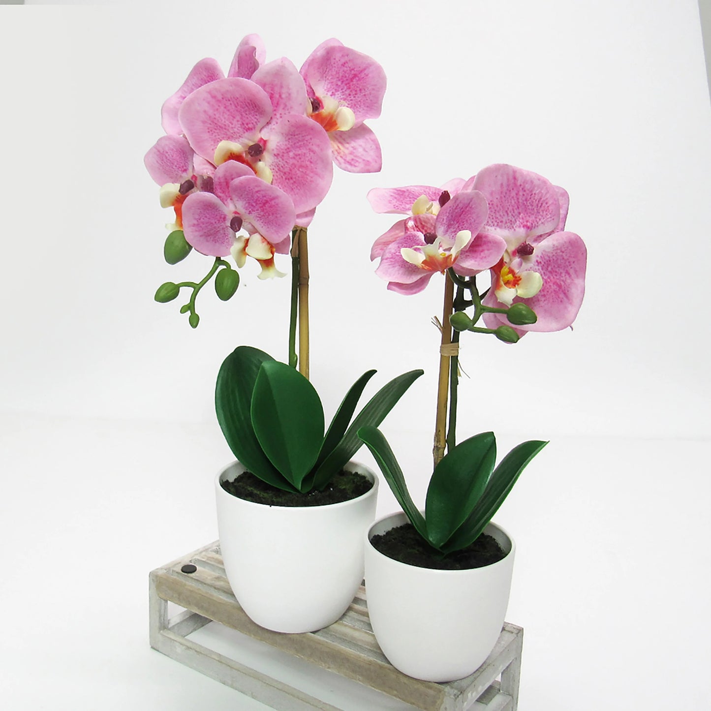 Artificial Phalaenopsis Orchid Flower Arrangement in White Pot 17in