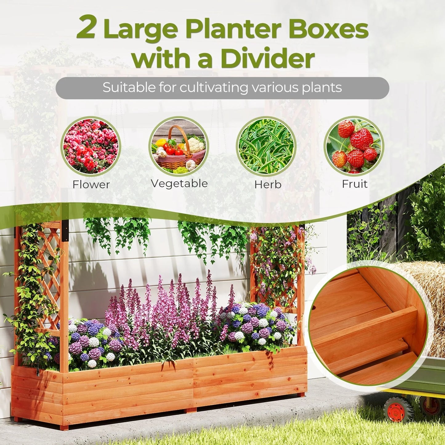 Tall Orange Raised Planter Bed with Climbing Trellis 77" Fir Wood Garden Box with Drainage - 77" x 17" x 72" (L x W x H)