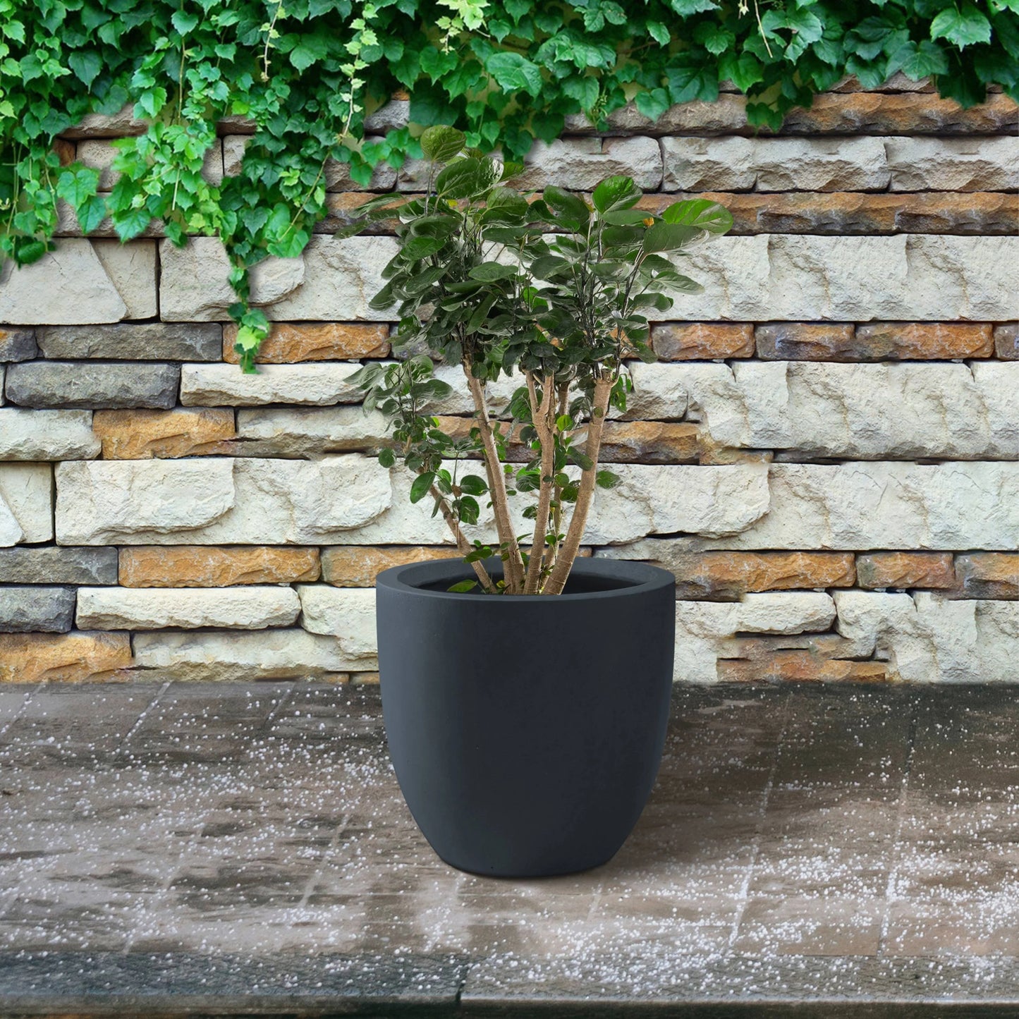 Kante Round Lightweight Concrete and Fiberglass Indoor Outdoor Weather Resistant Planter with Drainage Hole