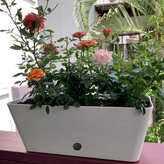 16" Rectangular Indoor/Outdoor Self-Watering Bamboo Planters