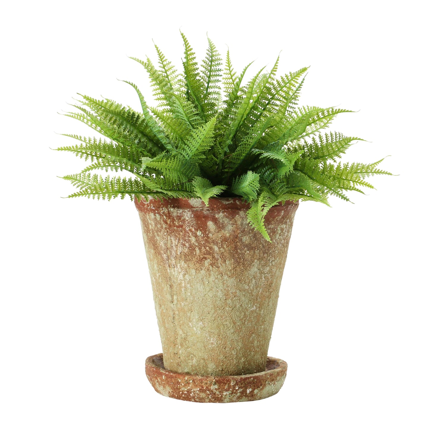 Cement Planter with Saucer, Distressed Terra-cotta Finish