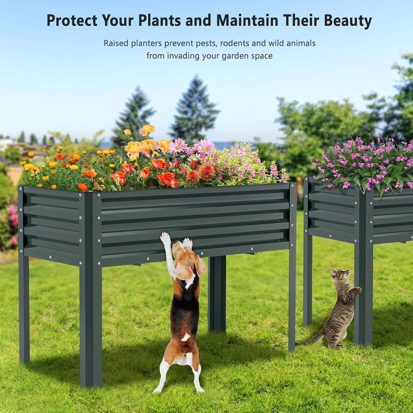 Raised Garden Bed with Legs, Standing Planter Box Growing Herb Bed