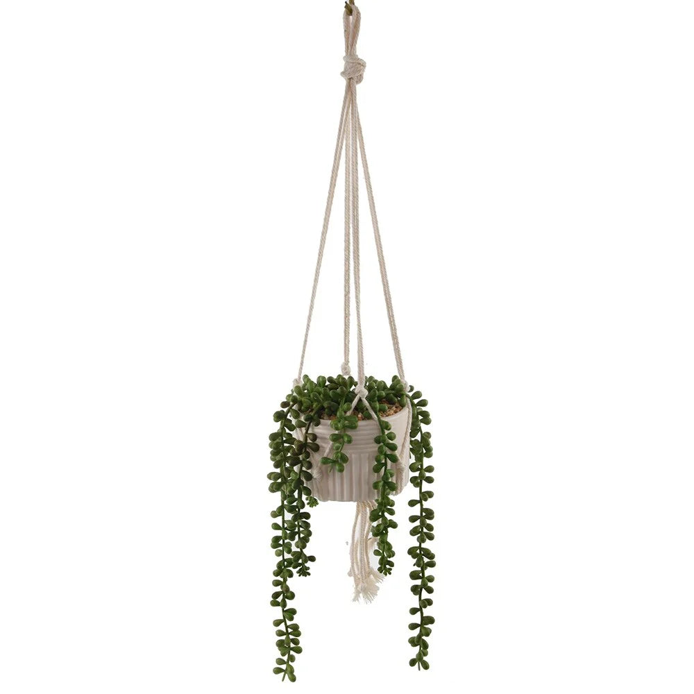 Artificial Plant STRING OF PEARLS MACRAME HANGING CERAMIC DONKEY TAILS - ONE-SIZE