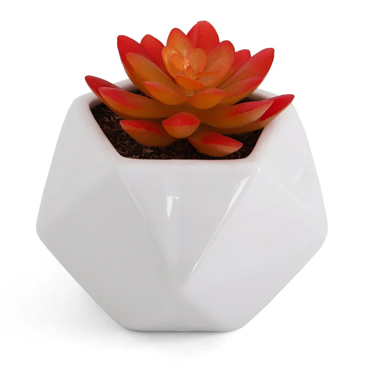 Artificial Succulent