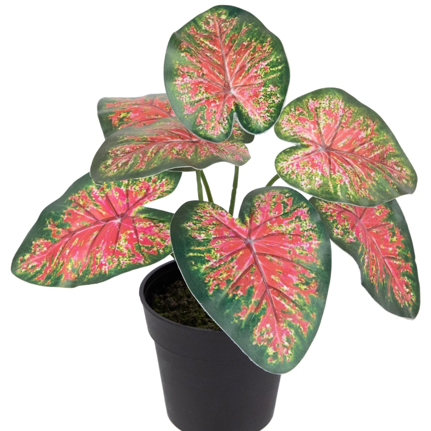 8" Rohdea Spring Floral Artificial Potted Plant