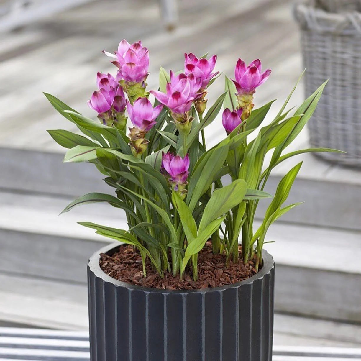 DreamPatio North Pole Fiberstone Planter