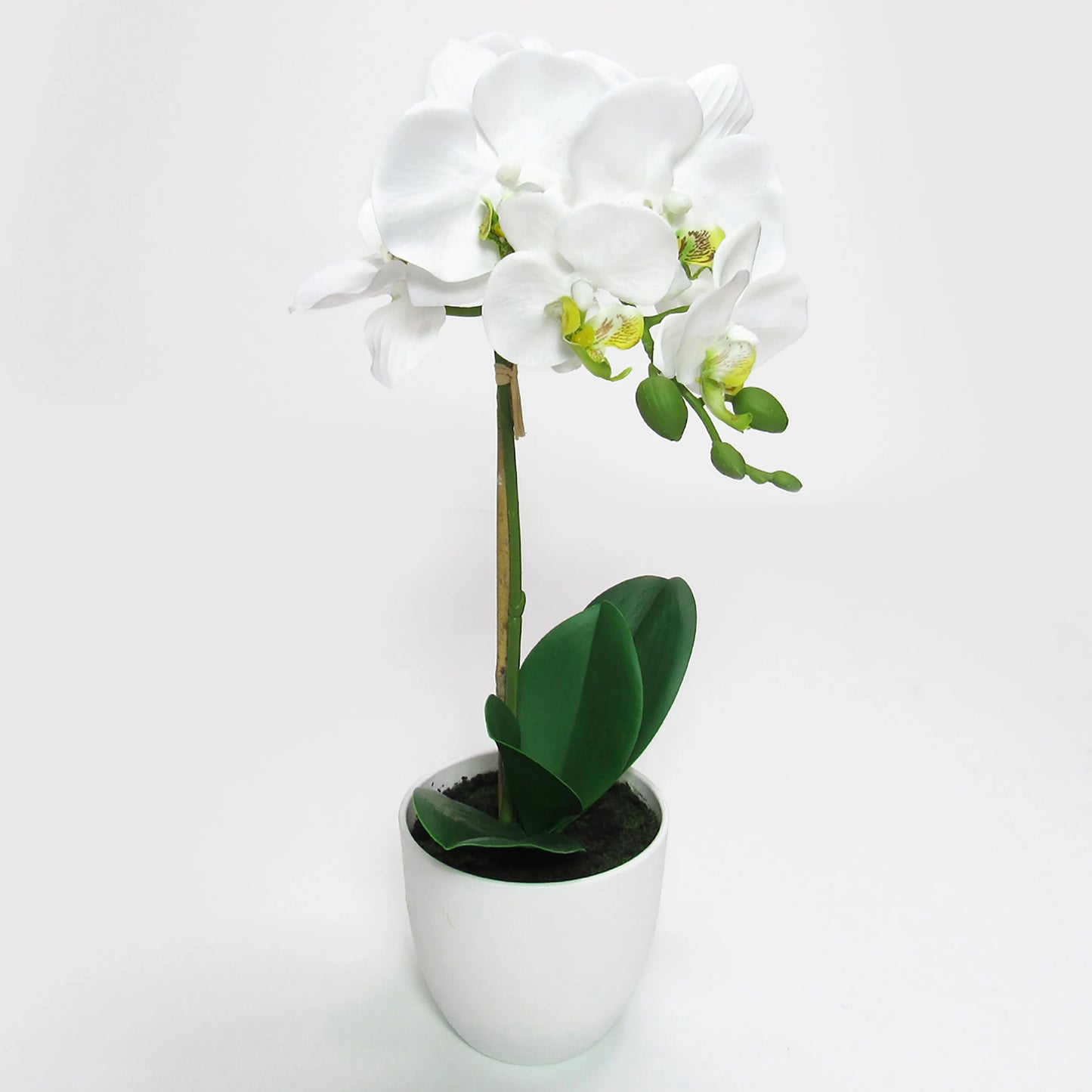 Artificial Phalaenopsis Orchid Flower Arrangement in White Pot 17in