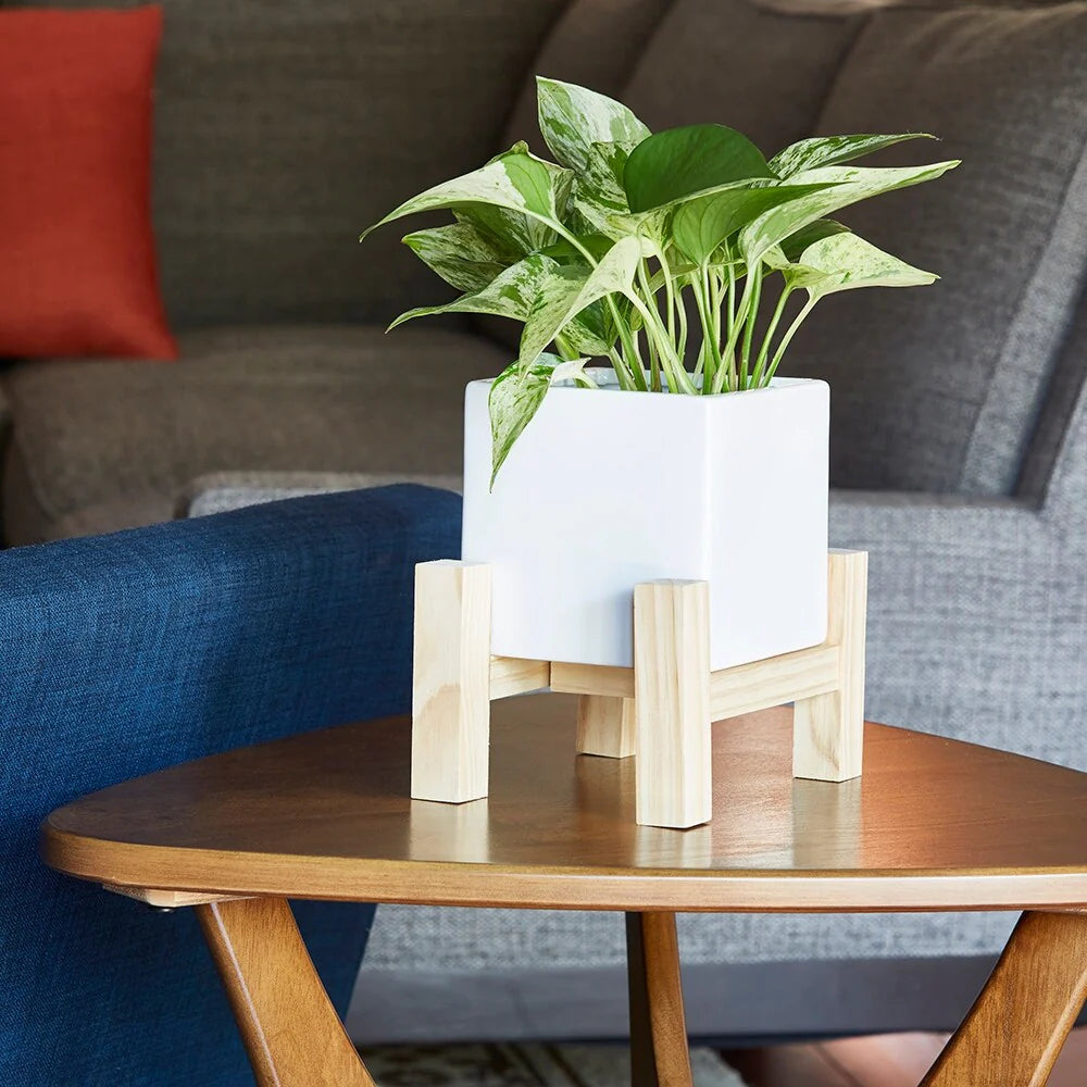 Southern Patio Hemingway Ceremic Square Indoor Planter with Wooden Stand